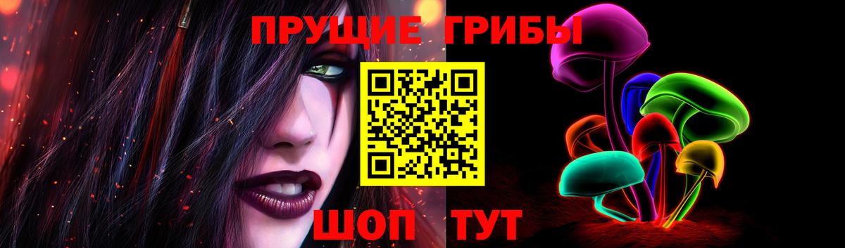 дарнет шоп  Псилоцибиновые грибы мухоморы  Вход с VPN  Тара  Галлюциногенные грибы ЛСД 